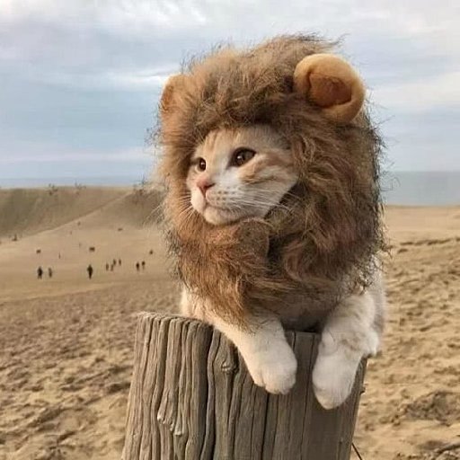 大內捕快