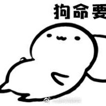 第一甲