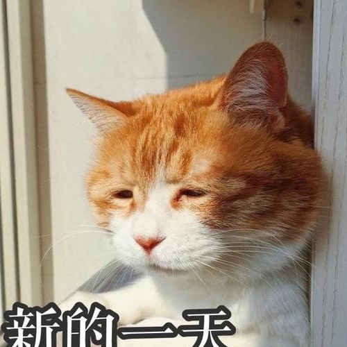 一汪甜水