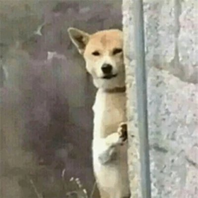 超愛玩游戲