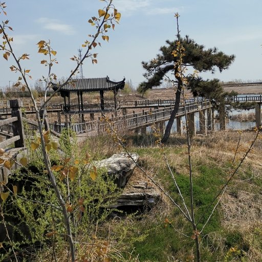 寒衣沐風