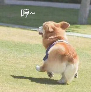 急急如預(yù)料