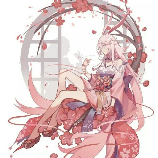 橘貓本肥