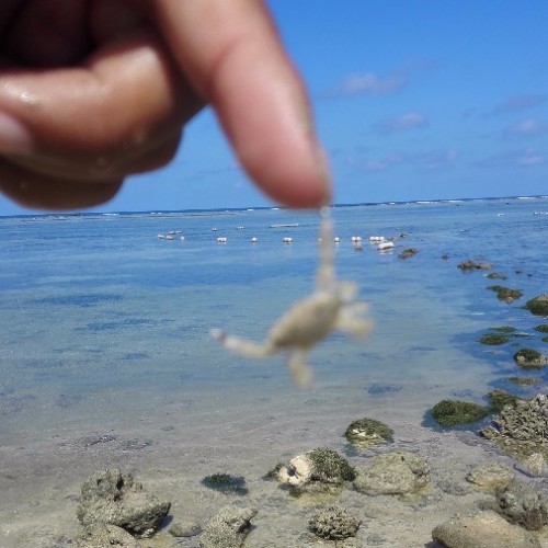 笑忘海