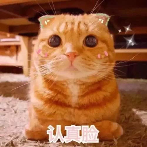 今溪白