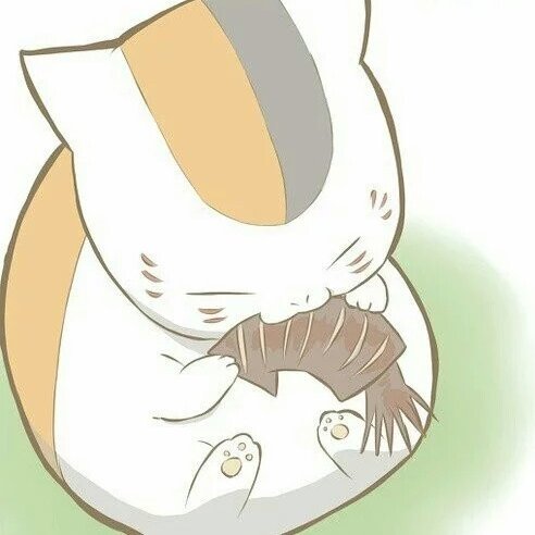 插翅的喵
