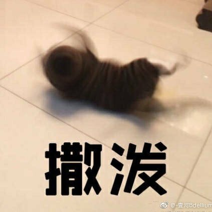 不知下落