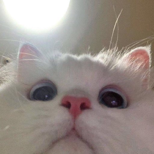 所覓