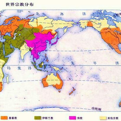 老鼠和大米
