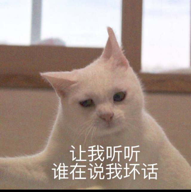 金遲