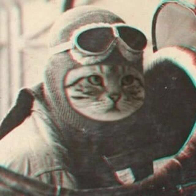 沈復sf