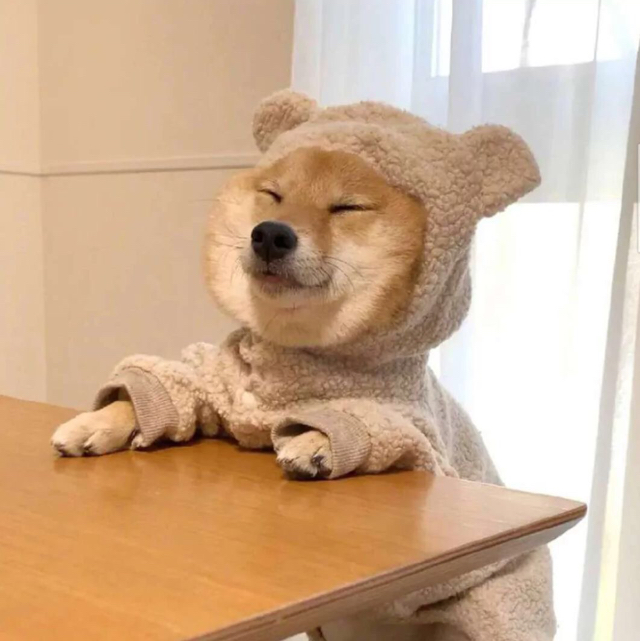 我將不凡