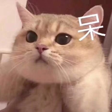 林天恩