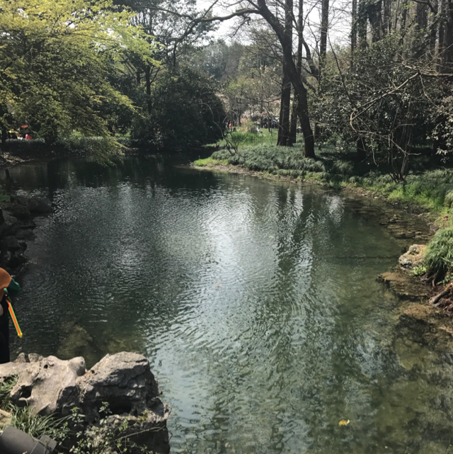 水墨竹林