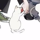 夙梵