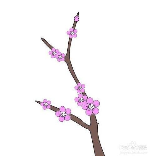 一斤桃花