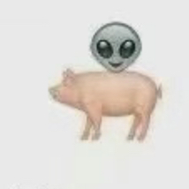 人間百曉生