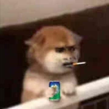 望興居士