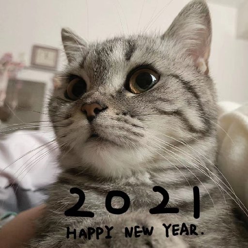 杯面Bat