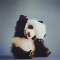 歡.喜