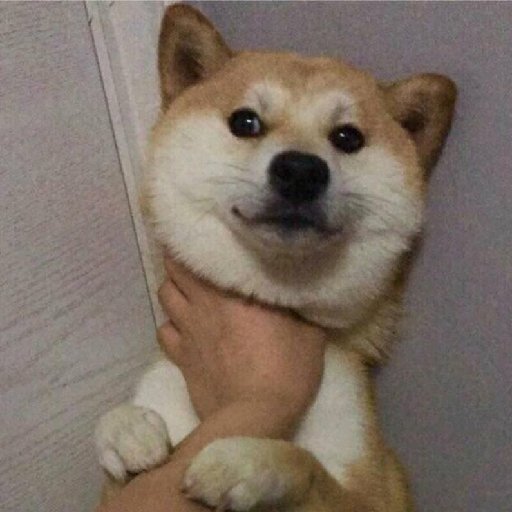 凡述