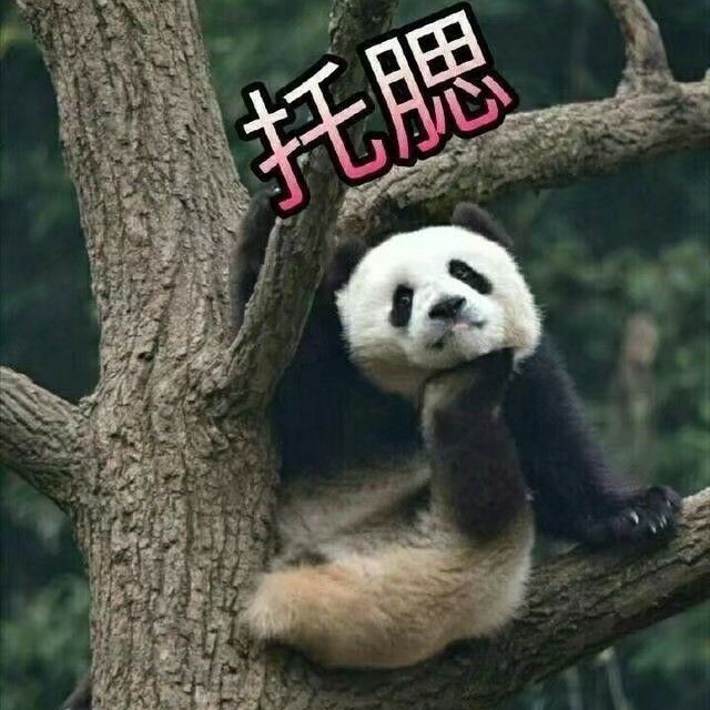 天佑健兒
