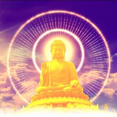 佛山大樂