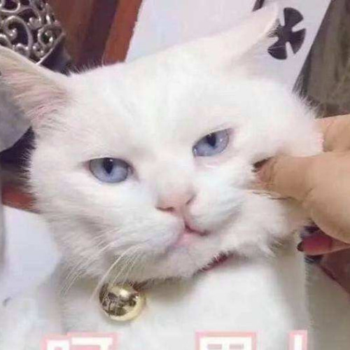 千旗