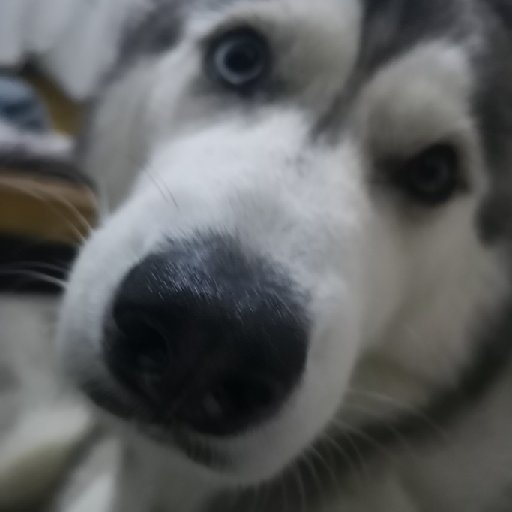 木森楓葉