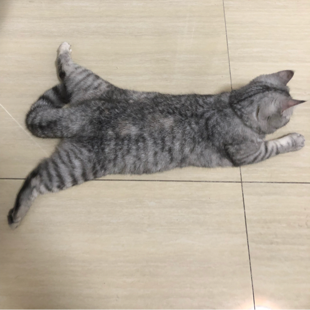 輪回時鐘