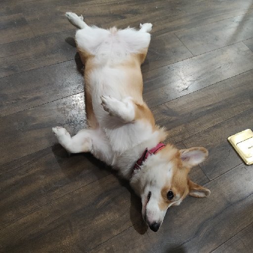 浮生默客