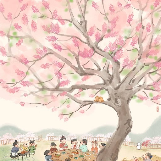 衣沄
