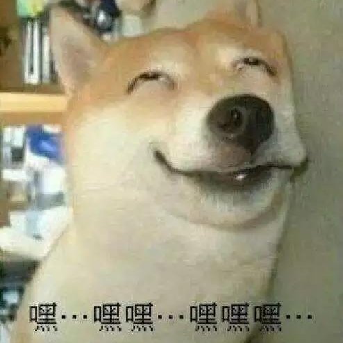 一只貓的野望