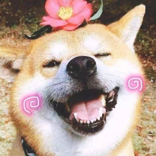 賤人別浪啊