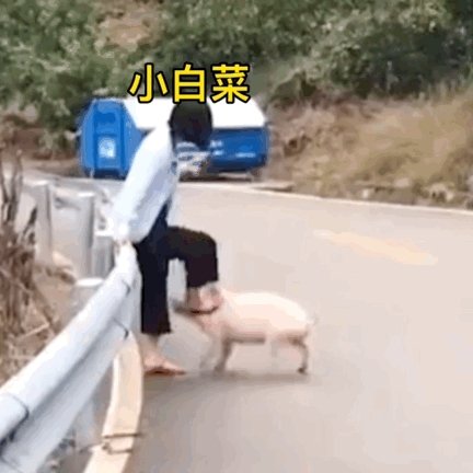 周笙曉夢(mèng)