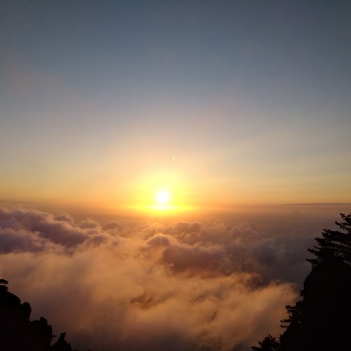杰克樂福