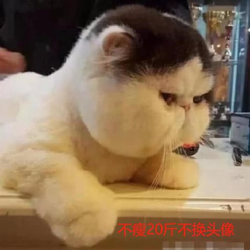 柒號小刀
