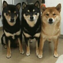 夜史