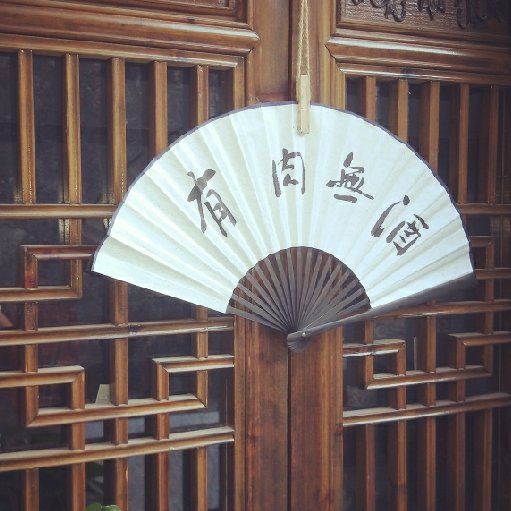 喜歡風(fēng)的貓