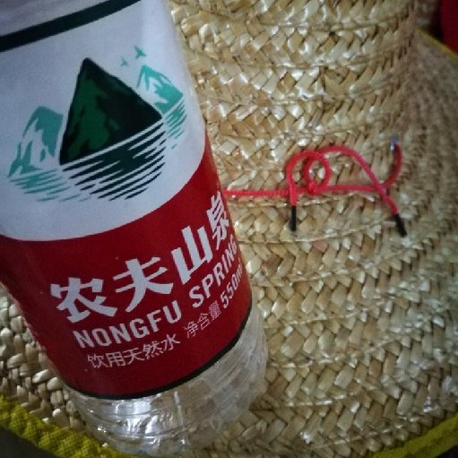 東方鯉魚(yú)