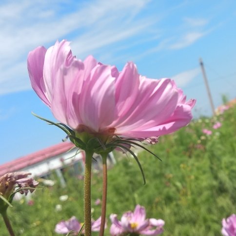 觸摸你的發
