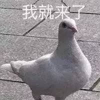 女璇