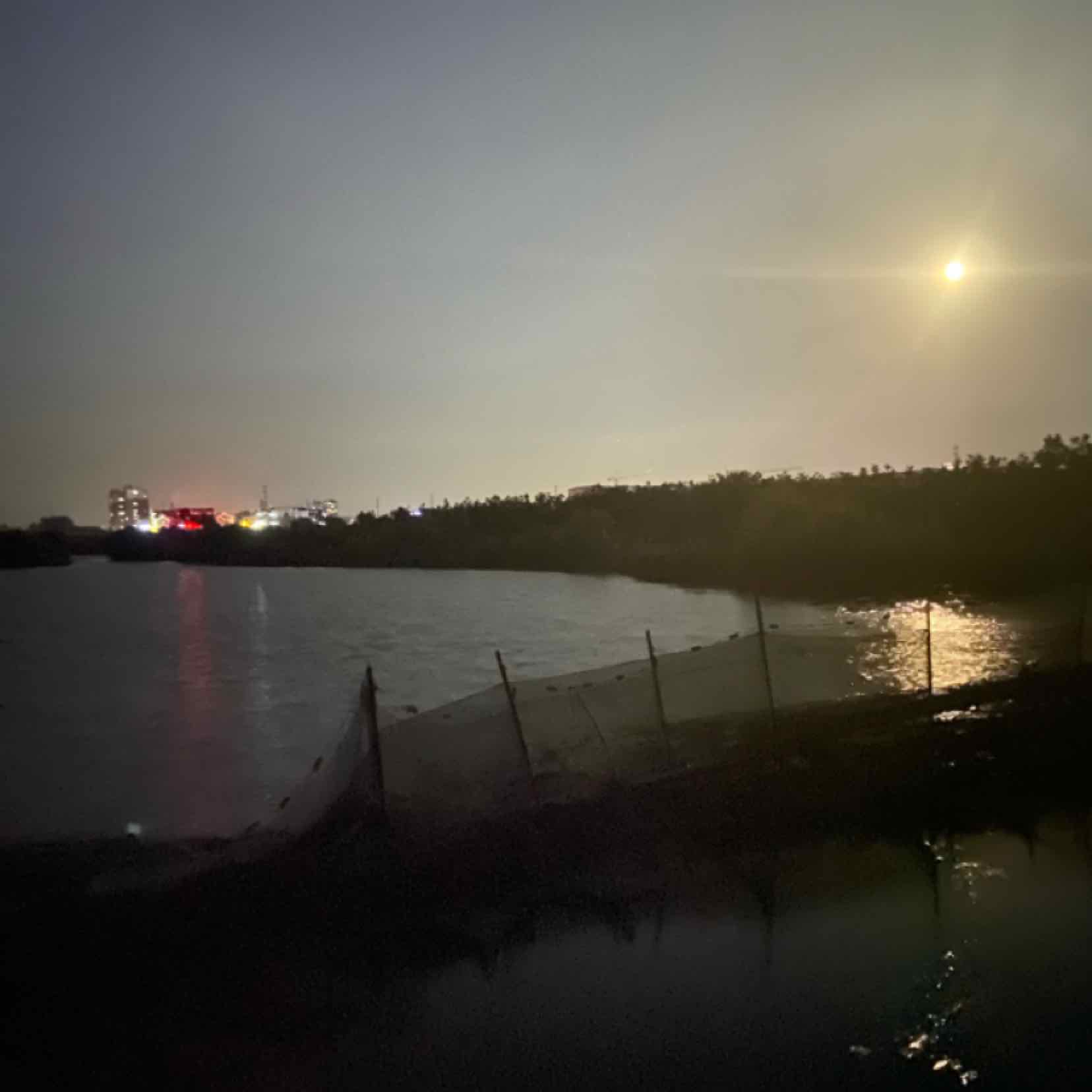 夜懷月