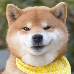 羲魎