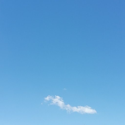 張六陽