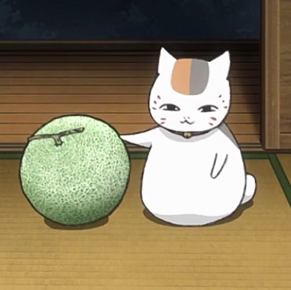 七蹤