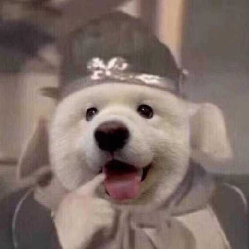 魏紂