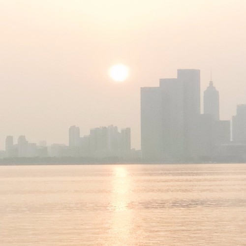 一念叢生