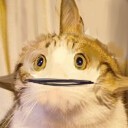 影子設計師W