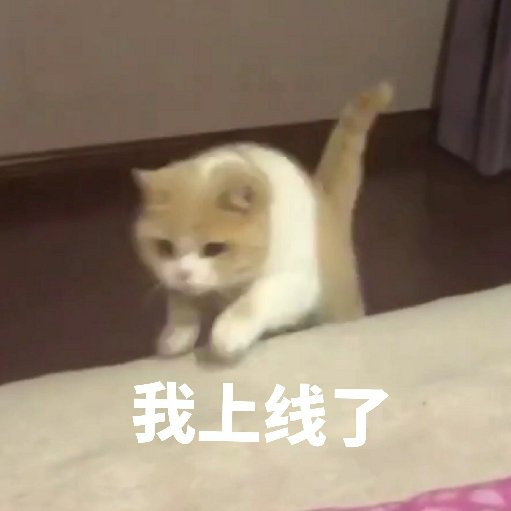 不吃魚干的貓